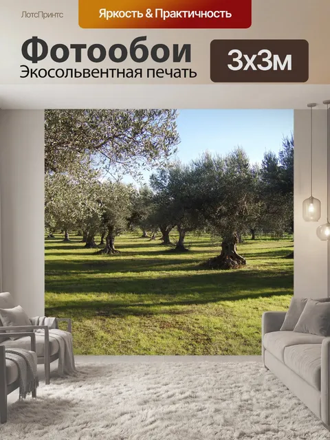 Фотообои Оливо