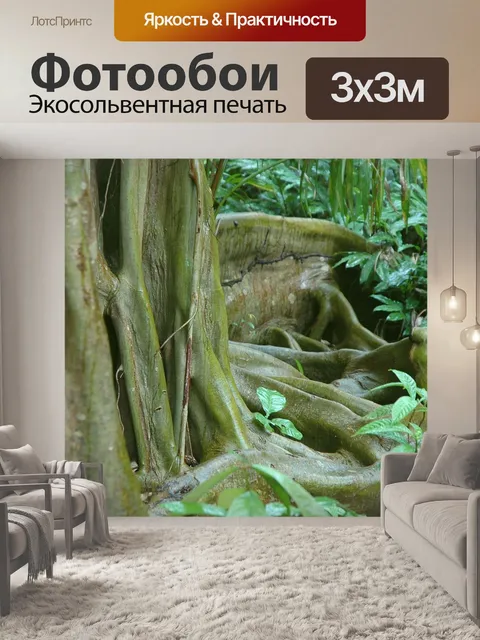 Фотообои Корень