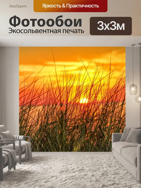Фотообои Заход солнца