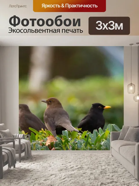 Фотообои Птицы
