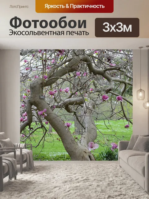 Фотообои Цветение вишни