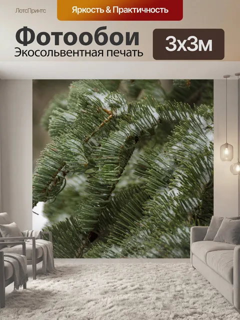 Фотообои ветки сосны