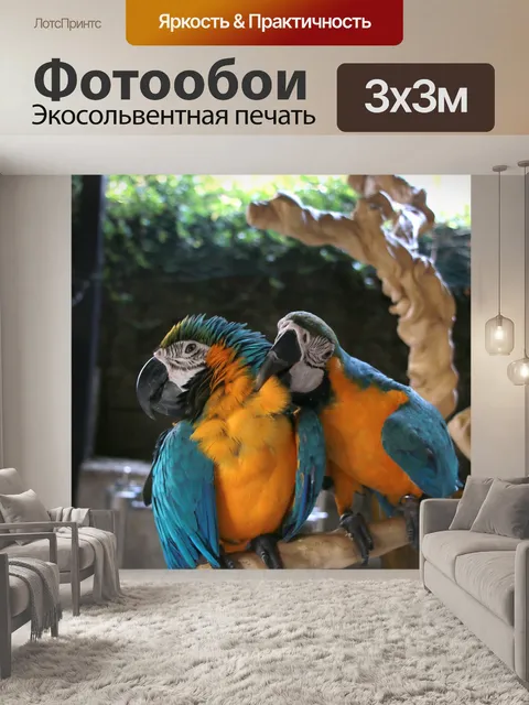 Фотообои Птица