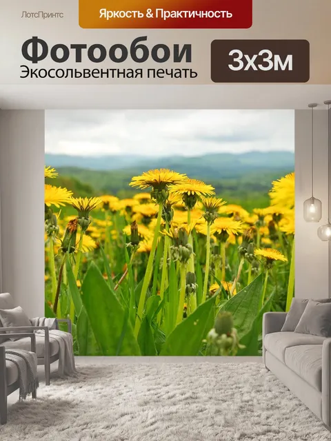 Фотообои Одуванчики