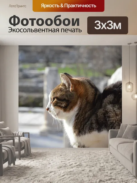 Фотообои Кошка