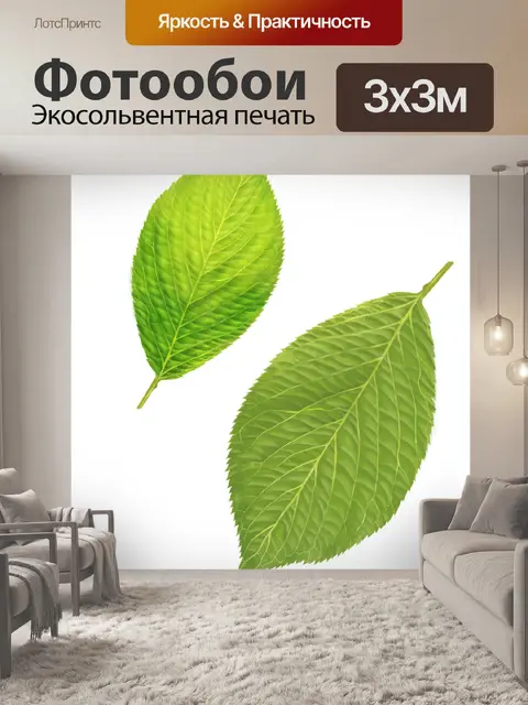 Фотообои Листья
