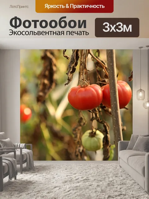 Фотообои Фрукты