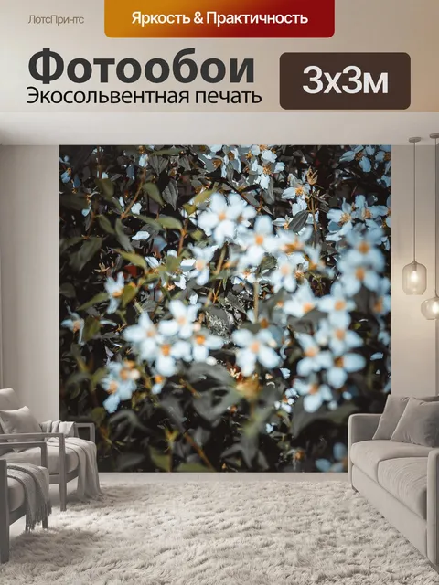 Фотообои Жасмин