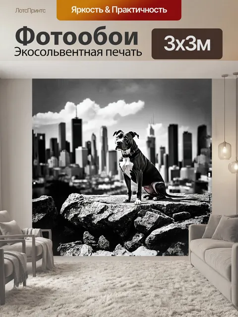 Фотообои питбуль сидит на каменном выступе