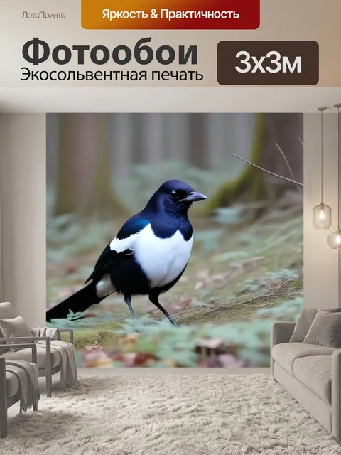 Фотообои в осеннем лесу