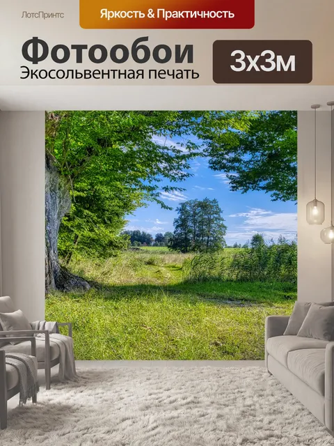 Фотообои Лес
