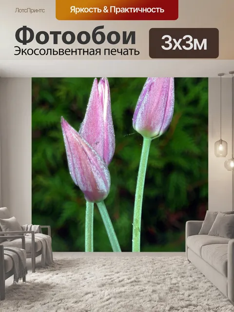 Фотообои Тюльпаны