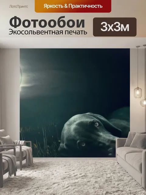 Фотообои Собака