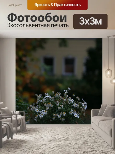 Фотообои Цветы