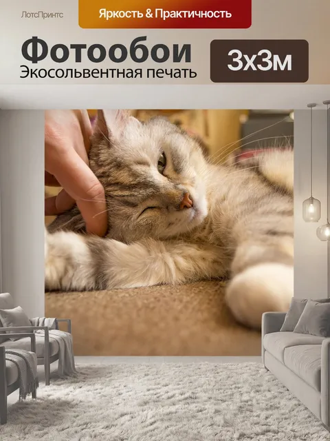 Фотообои Милый