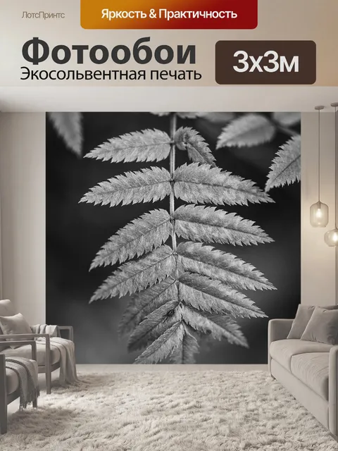 Фотообои Папоротник