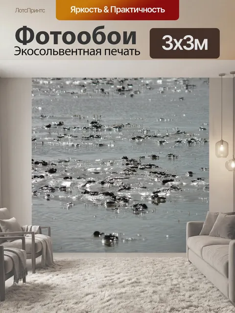 Фотообои Ватт