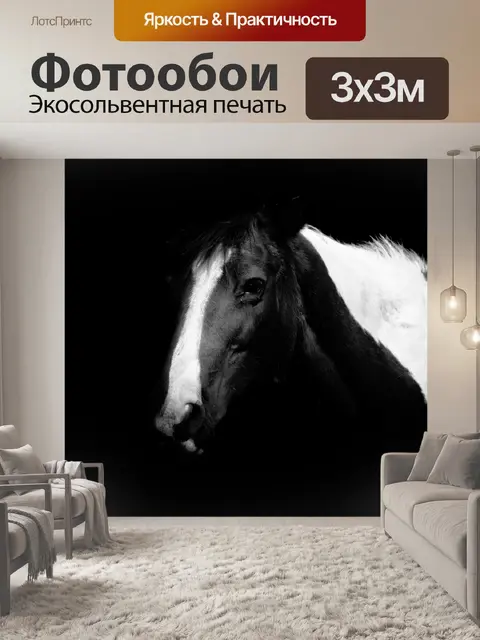 Фотообои Лошадь