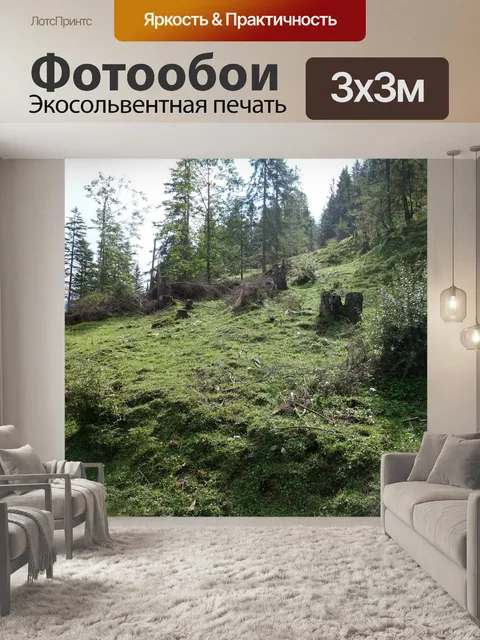 Фотообои Лес