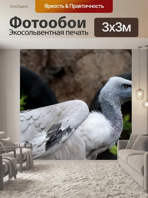 Фотообои Птицы