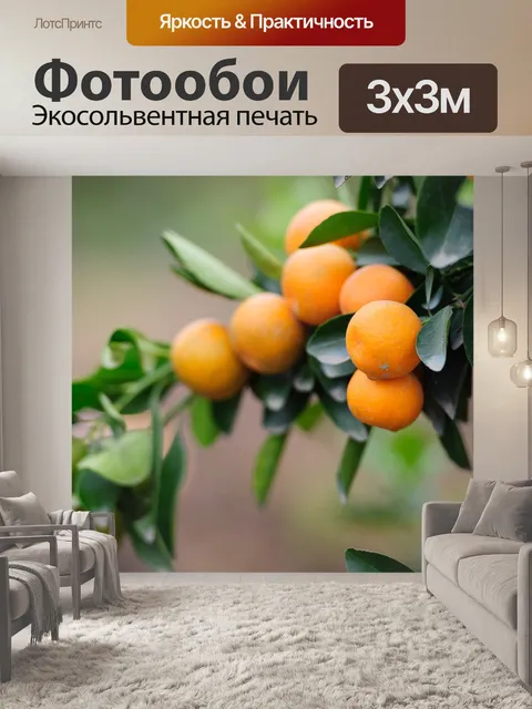 Фотообои Фрукты
