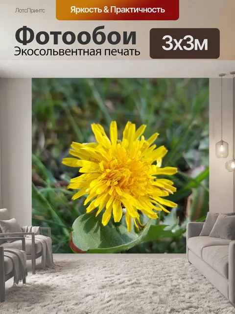 Фотообои Цветок