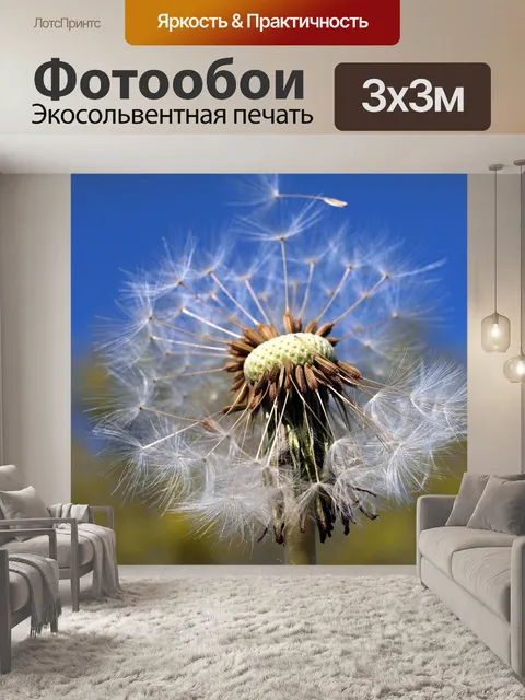 Фотообои Одуванчик