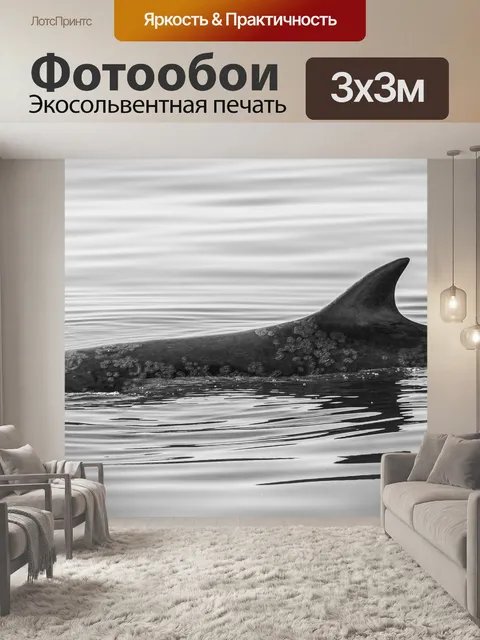 Фотообои Плавание