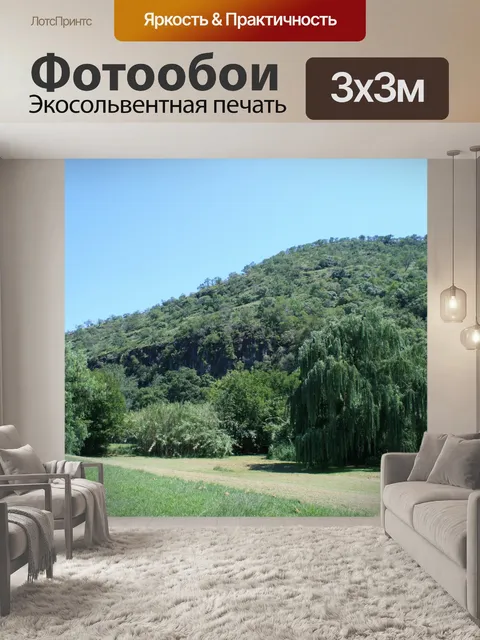 Фотообои русло реки между ивами и холм