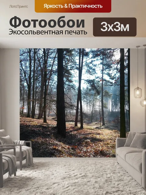Фотообои Лес