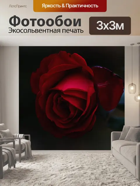 Фотообои Роза