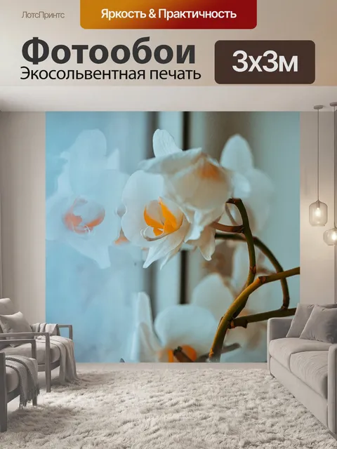 Фотообои Орхидея