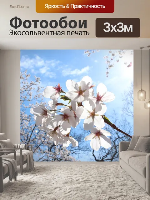 Фотообои Сакура вишни в цвету