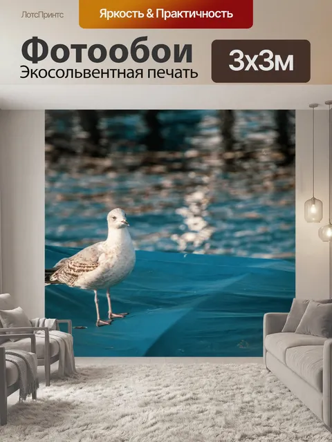 Фотообои Птица