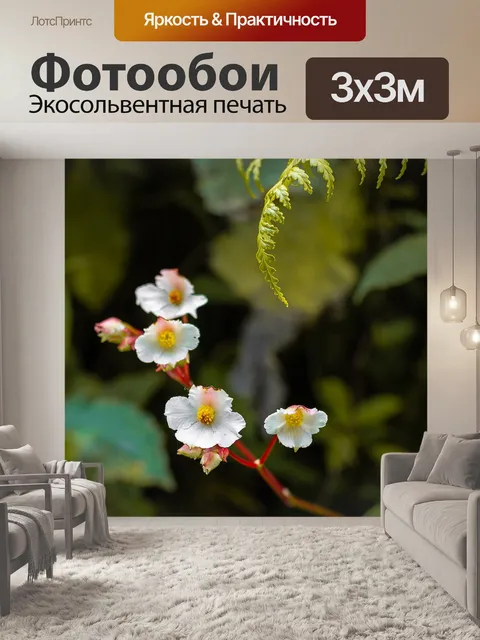 Фотообои Час земли