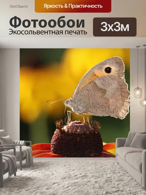 Фотообои Бабочка