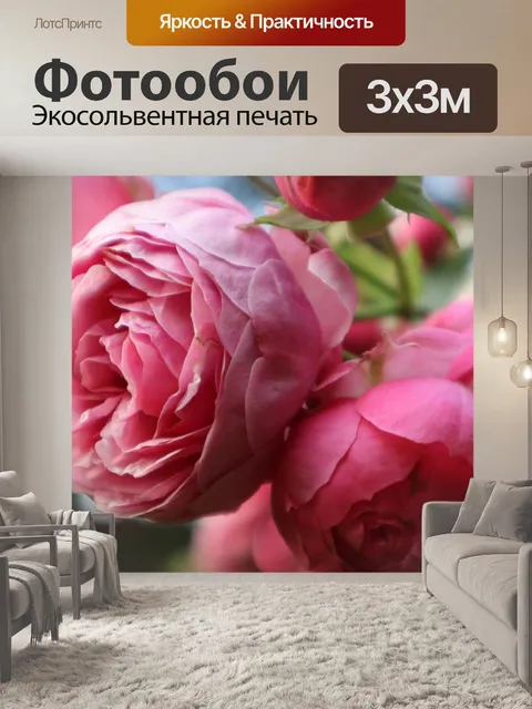 Фотообои Цветы