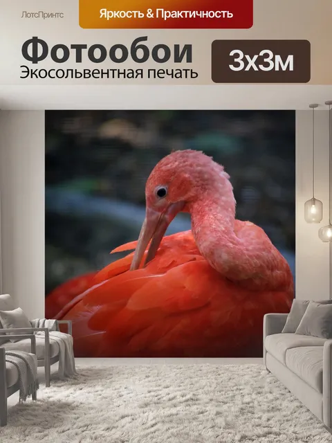 Фотообои Розовый журавль