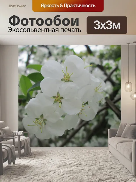 Фотообои Парк