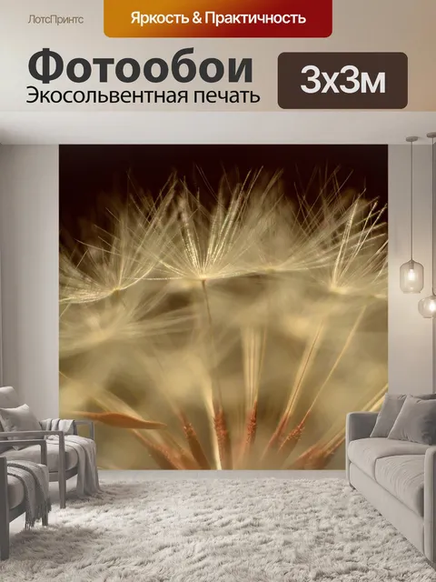 Фотообои Одуванчик