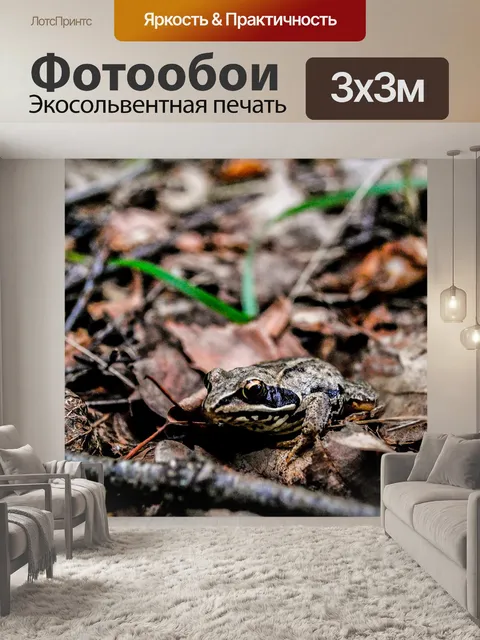Фотообои Лес
