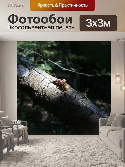 Фотообои Шершень