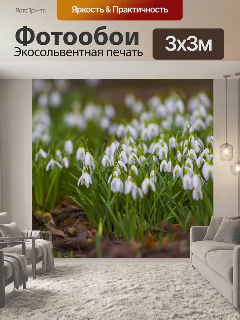 Фотообои Подснежники