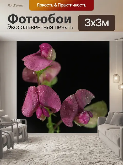 Фотообои Цветы