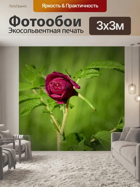 Фотообои Природа