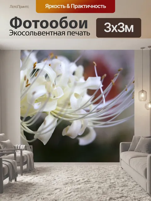 Фотообои Белый