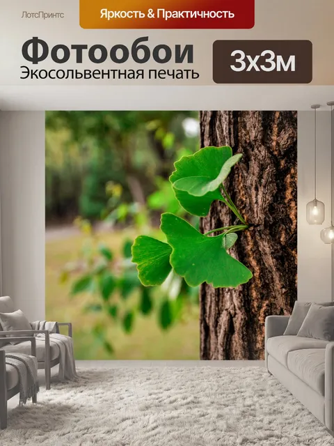 Фотообои Гинкго