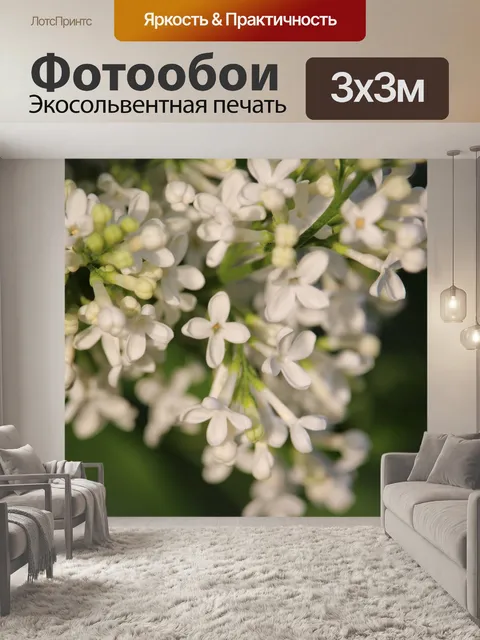 Фотообои Цветы