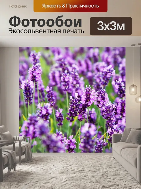 Фотообои Цветы лаванды