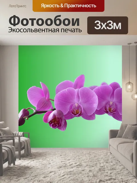 Фотообои Орхидеи